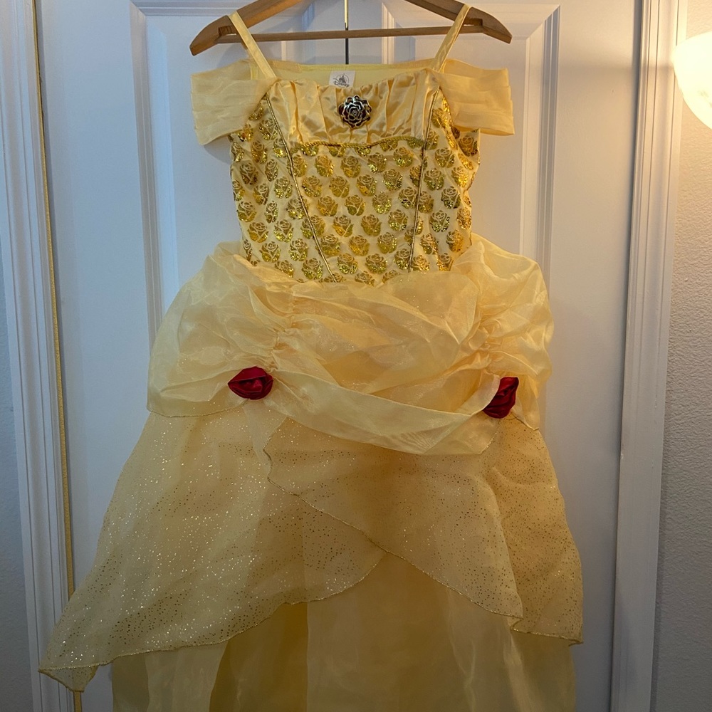 Disney Princess Belle dress